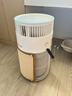 霍尼韦尔（Honeywell）宠物空气净化器吸猫毛除过敏源猫猫搭子 猫毛净化器杀菌消毒除异味【家电国家补贴】KJ360F-C22W 实拍图