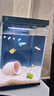 米家智能桌面鱼缸小米生态鱼缸+画法增氧泵套装 实拍图