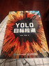 YOLO目标检测（异步图书出品） deepseek教程 实拍图