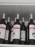张裕葡小萄赤霞珠甜红葡萄酒整箱微醺自营送礼聚会甜型国产红酒 实拍图