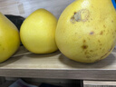 福建平和老树红柚 新鲜现摘 皮薄肉厚多汁 蜜柚柚子 4-5斤（1-2粒）优惠 实拍图