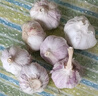 【营田半亩】蒜干蒜头蒜大蒜紫白皮大蒜当季蔬菜0.5-5斤 250克袋装【果径3.5-4.5cm】中果 实拍图