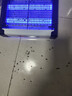 喜格丽灭蚊灯基孔肯雅热商用灭蝇灯餐厅饭店用蚊子诱捕器灭蚊器苍蝇神器 实拍图