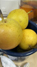 樱慕晴【JD地标认证】正宗辽宁鞍山南果梨东北特产南国梨香水梨新鲜水果 净重5斤【普装小果黄梨】约40枚 实拍图