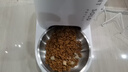 小佩智能自动喂食器SOLO白色 猫碗猫狗喂食器定时定量猫咪自动投食器 实拍图