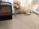 WeWarm【山姆同款】壁炉取暖器家用暖风机仿真炭火电暖器室内外大面积电热速热冷暖风机轻音节能1908N 实拍图