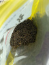 龙都香茗特级茉莉花茶袋装浓香型花茶四川自贡荣县特产茶叶 龙都香茗100克袋装X2袋 实拍图