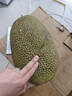 京鲜生 海南菠萝蜜整个 13-17斤 净重13斤生鲜水果 源头直发 实拍图