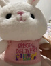 熊猫熊兔子玩偶毛绒玩具小女孩生日礼物女生儿童大布娃娃陪睡觉抱枕公仔 实拍图