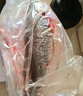 鲜活冲浪河鲈鱼400-500g/条 实拍图