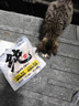 鲜朗低温烘焙猫粮幼猫粮全阶段鸡肉猫粮换粮试吃鲜郎离乳期全价猫粮 烘焙幼猫粮试吃装50g*1袋 实拍图