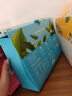乐品乐茶LeTea冷泡茶包袋泡茶高端原叶冷萃茶柠檬果茶0饮料茶叶饮品共91g 实拍图