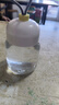 小狗头迷你玻璃杯便携可爱水杯咖啡牛奶小杯子胖胖杯女 白色 300ml 1只 小狗头提绳胖胖杯 实拍图