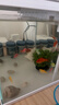 森森（SUNSUN）超白鱼缸一体缸自循环客厅桌面小型家用水族箱HEJ-380 实拍图