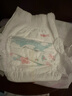 好奇（Huggies）皇家小龙裤拉拉裤XXL28片(15kg以上)尿不湿【30倍爆吸】 实拍图