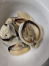 柒岛海捕大青口贝鲜活特大海虹淡菜新鲜冷冻海鲜贻贝青口贝水产 4斤(净重)  鲜活海鲜会吐水 实拍图