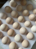 CP  正大 鲜鸡蛋 30枚 3.18斤 早餐食材 优质蛋白  礼盒装 实拍图