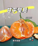 【顺丰】四川眉山甘平柑橘皇后孕妇新鲜水果纯甜小金牛桔子耙耙柑 净重8斤（新鲜带枝叶发货） 精选一级巨无霸（单果350g以上） 实拍图