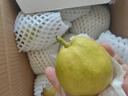 京鲜生 新疆库尔勒香梨 净重5斤 一级 单果100g-120g  生鲜水果 实拍图