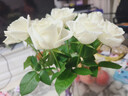 京东鲜花玫瑰花随机颜色10枝如意基地鲜切花水养插花生活花束送礼源头直发 实拍图