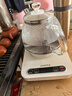 澳柯玛（AUCMA）316自动上水恒温电热水壶0.8L玻璃煮茶器功夫茶具茶台泡茶烧水壶煮茶壶电茶炉电水壶煮中药J1 实拍图