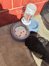 甜浪海猫碗双碗自动喂食器不锈钢狗盆幼猫吃饭喝水防打翻饮水机宠物食盆 实拍图
