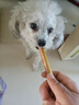 馋小汪狗狗零食火腿肠宠物狗零食狗香肠幼犬成犬泰迪金毛全犬种宠物零食 【升级双提桶装】120支 牛肉味 实拍图