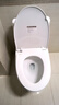 恒洁（HEGII）马桶562 超旋风大冲力抗菌座圈虹吸式家用坐便器HC0562DT-305 实拍图