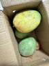 京鲜生 攀枝花凯特芒果 净重4.5斤 单果700g 生鲜水果 源头直发 实拍图