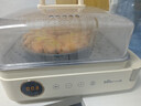 小熊（Bear）电蒸锅 24L三层大容量外置水箱 家用多功能电蒸箱 不锈钢蒸片多用途蒸包子锅DZG-CB3P2 实拍图