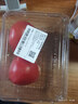 番茄约500g 实拍图