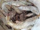 禧美海产  白对虾 无冰净重400g/盒 22-27只 盐冻锁鲜 烧烤 海鲜水产 实拍图