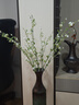 京东鲜花繁花雪柳枝3大支仿真花假花绿植装饰客厅餐桌玄关插花艺花束拍照 实拍图