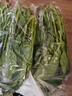 大菠菜300g 实拍图