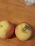 京鲜生 新疆阿克苏冰糖心苹果 净重9斤 果径75mm 新鲜水果 实拍图
