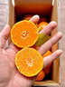 山姆伯伯广西砂糖橘【顺丰多地次日达】桔子蜜桔橘新鲜水果礼盒年货节送礼 【超甜】5A级精选果 5斤装【巨划算-超值推荐】80%人选 净4.5* 实拍图