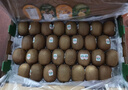 佳沛（zespri）绿奇异果特大果22-25个原箱装单果约133-176g 猕猴桃 水果 实拍图