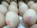 德青源DHA可生食鲜鸡蛋30枚3斤 无抗生素谷物喂养 牛奶搭档早餐礼盒装 实拍图