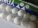 双鱼（DOUBLE FISH）乒乓球一星1星训练用球发球机俱乐部展翅V40+兵乓球白色100个装 实拍图