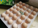京鲜生 无抗保洁鲜鸡蛋30枚/盒 健康轻食 礼盒送礼 1.5kg/盒 源头直发 实拍图