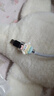 充电器保护套苹果安卓手机新款可爱数据线保护防折断iphone15/14promax华为mate60/50vivo小米oppo 玉桂狗全套【USB+Type-C接口】 实拍图
