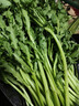 【24小时菜】油菜苗400g(长度≤17cm) 实拍图