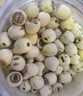 方家铺子中华老字号 莲子400g 湘潭磨皮白莲子去芯 百合桂圆银耳羹食材 实拍图