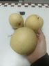 正宗河北皇冠梨 产地直发 现摘现发 脆甜多汁梨子整箱新鲜水果 皇冠梨净重1.5斤装 实拍图