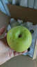 京地达梨砀山翠玉梨翠冠香梨新鲜水果净重8.8斤单果250g+源头直发包邮 实拍图