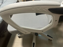 锦汐 电脑椅家用办公椅子靠背人体工学椅学习转椅老板座椅游戏电竞椅 【可后躺】白框灰网 实拍图