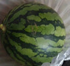 京鲜生 无籽麒麟西瓜 1粒装 单果5-7斤 生鲜水果 实拍图
