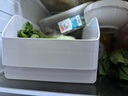 懒角落冰箱收纳盒厨房冷冻盒家用蔬菜水果鸡蛋整理盒储物无隔板大号 实拍图
