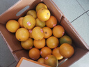 褚橙 云南冰糖橙  优级果 L 10斤装 单果约130g起 生鲜水果礼盒 实拍图