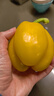 京鲜生山东双色五彩椒净重2.5斤装 单果120g起 圆椒甜椒 源头直发 实拍图